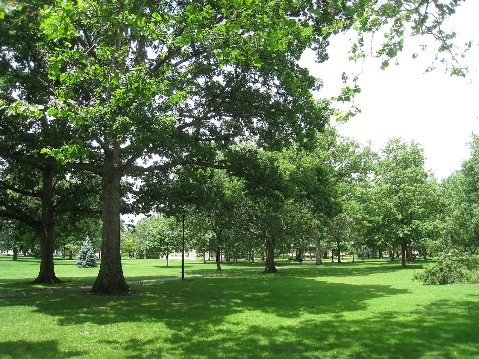 Tappan Square in Oberlin, Ohio